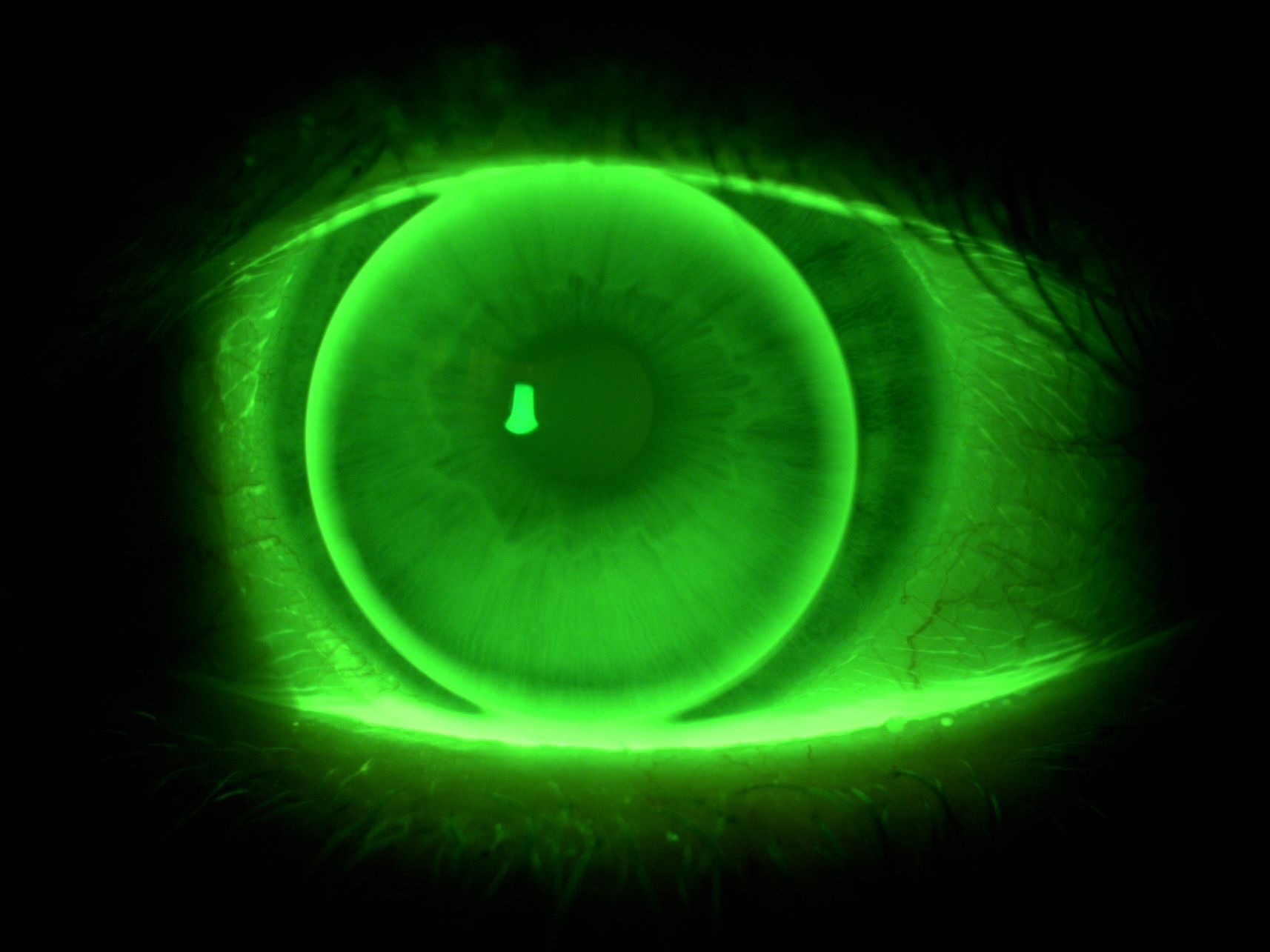 26-27 lutego 2026 r. Wrocław - seminarium szkoleniowe